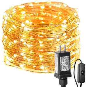 Lighting EVER Fairy Lights Plug in, 33ft 100 LED String Lights for Bedroom, Warm White Copper Wire Lights, Waterproof Indoor Outdoor Decorative Fairy Lights for Patio, Garden, Balcony, Vases, Craft(66 ft)