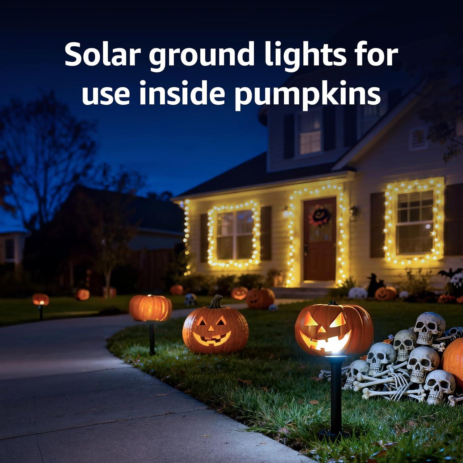 imageLepro Halloween Outdoor Solar Spot Lights Outdoor IP65 Waterproof for Flag Garden Landscape Backyard Holiday Christmas Decorations 2 Pack Cool WhiteDaylight White