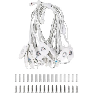 Lepro EE1 Permanent Lights Accessories Only – 25 ft EE1 Permanent Outdoor Lights Single Strand Without Adapter and in-line Controller